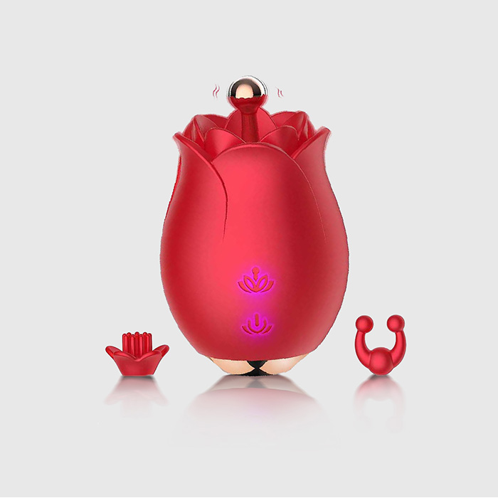Perfect Gift Rose Red Sexy Toy Vibrator