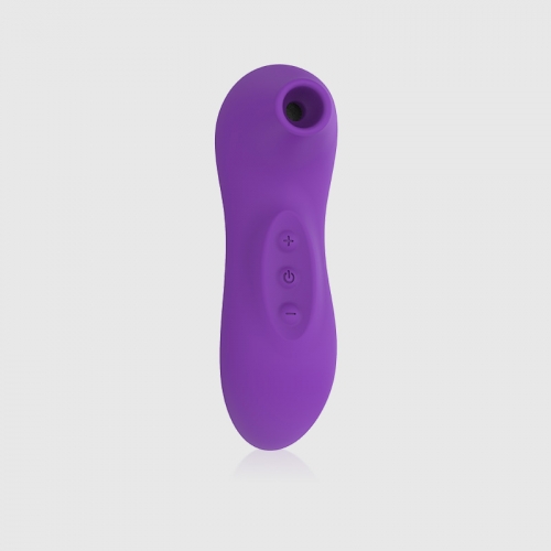 USB Rechargeable Mini Clitoral Sucking Vibrator in Purple